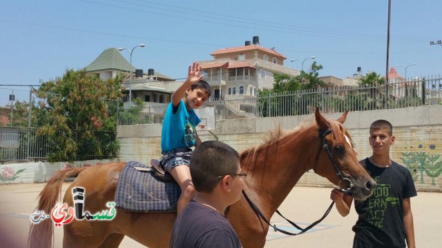 كفرقاسم - فيديو  : تعليم هواية ركوب الخيل في مدرسة جنة ابن رشد في اليوم الرابع لصيف الصادقة 